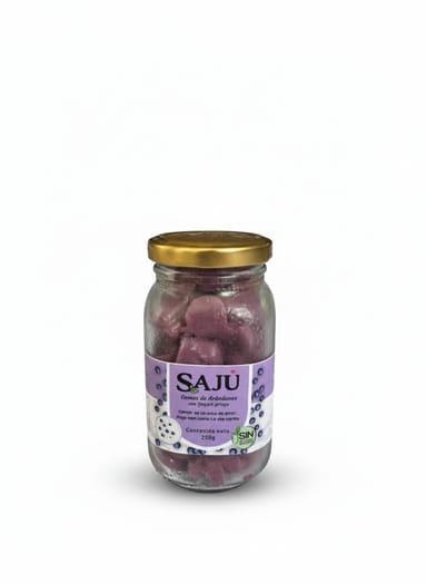 Gomitas de Yogurt de Arándano 🍇